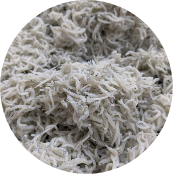 土佐の釜揚げしらす